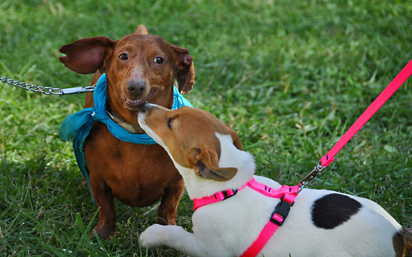 tlb_0516091083